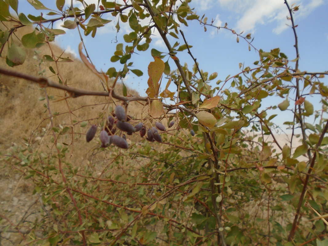 ��������� ��������... ����� �����������  �� PhotoGeek.ru #��������