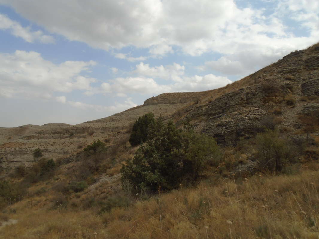 ... ����� �����������  �� PhotoGeek.ru #��������