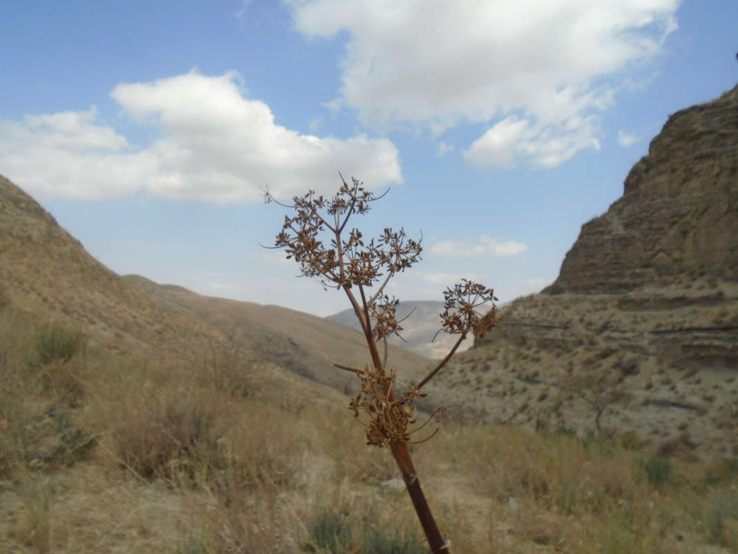 ... ����� �����������  �� PhotoGeek.ru #��������