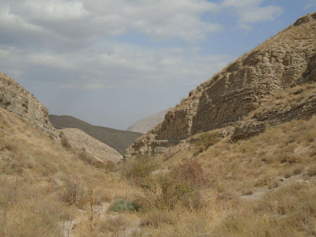 ... ����� �����������  �� PhotoGeek.ru #��������