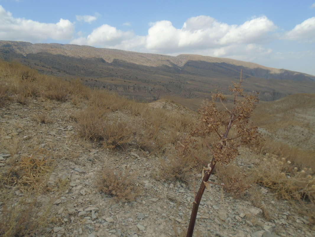 ... ����� �����������  �� PhotoGeek.ru #��������