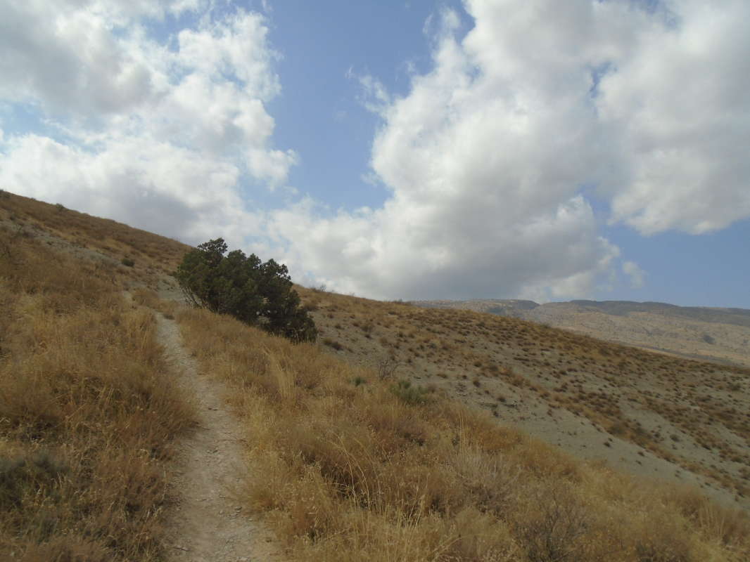 ... ����� �����������  �� PhotoGeek.ru #��������