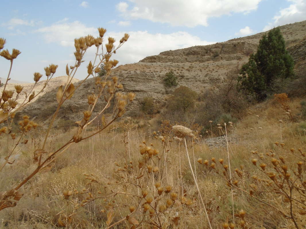 ... ����� �����������  �� PhotoGeek.ru #��������