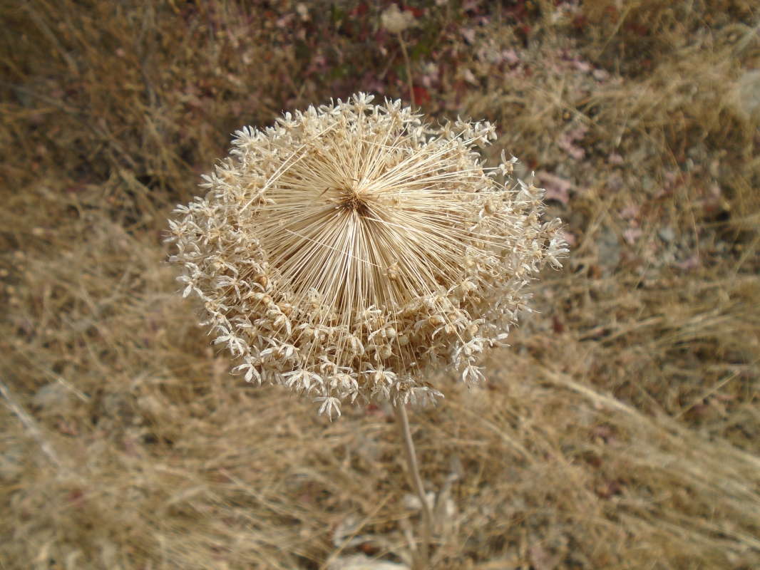 "��������"... ����� �����������  �� PhotoGeek.ru #��������