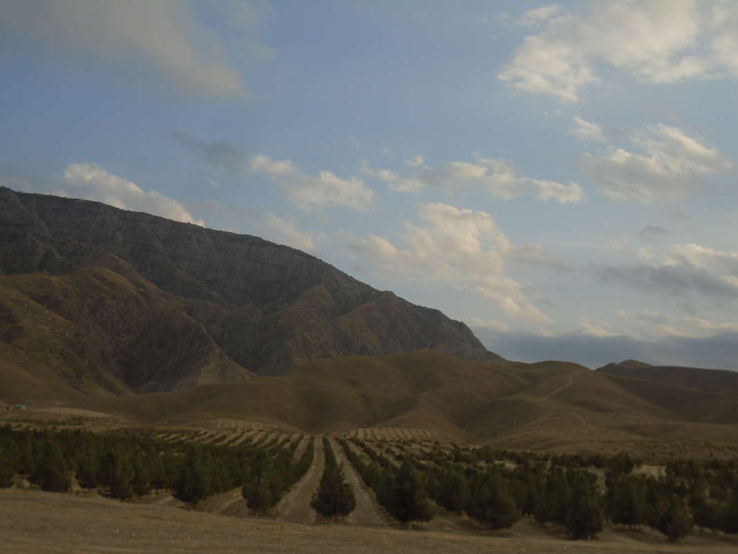 ����������� ���... ����� �����������  �� PhotoGeek.ru #��������