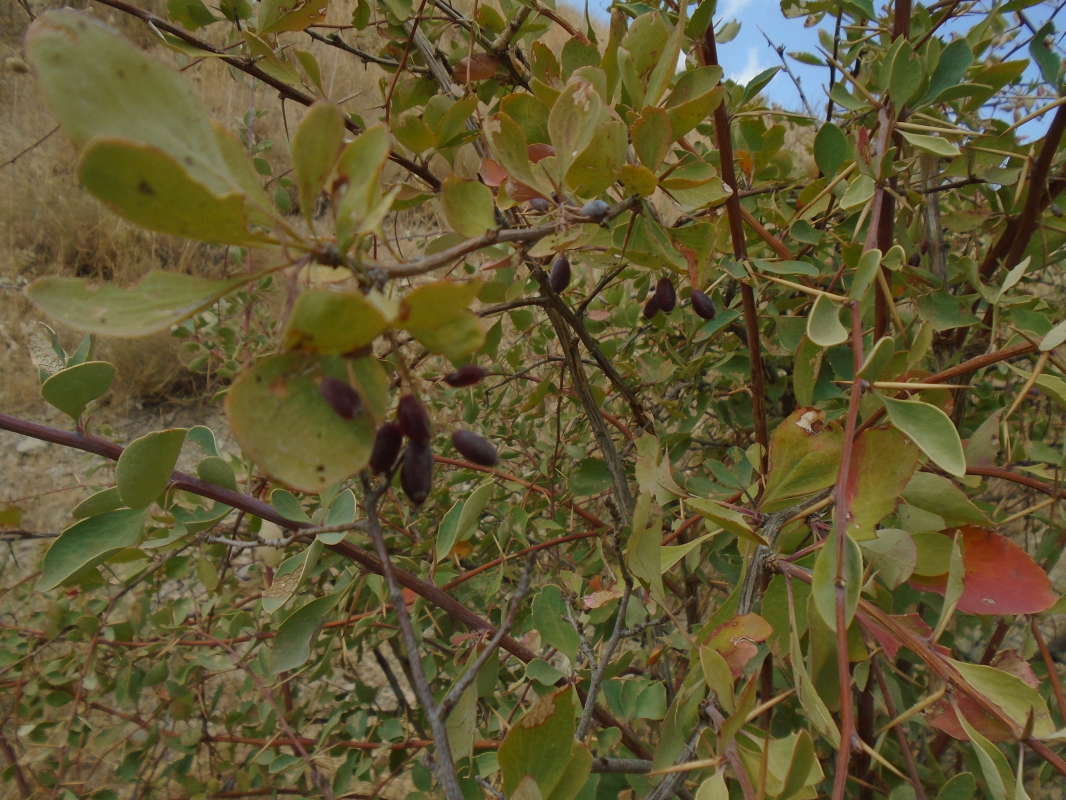 ... ����� �����������  �� PhotoGeek.ru #��������