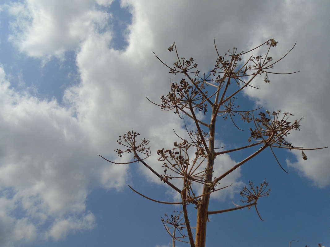 ... ����� �����������  �� PhotoGeek.ru #��������