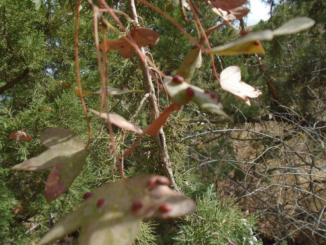 ... ����� �����������  �� PhotoGeek.ru #��������