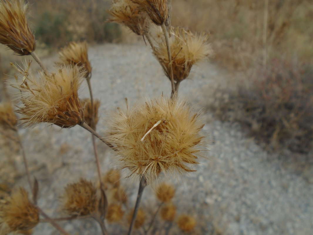 ... ����� �����������  �� PhotoGeek.ru #��������