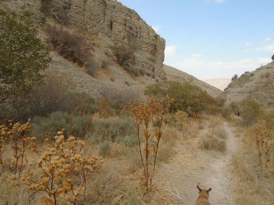 ... ����� �����������  �� PhotoGeek.ru #��������