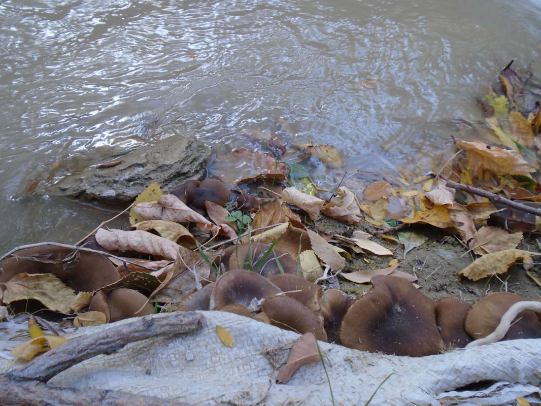 ��������� �����... ����� �����������  �� PhotoGeek.ru #��������