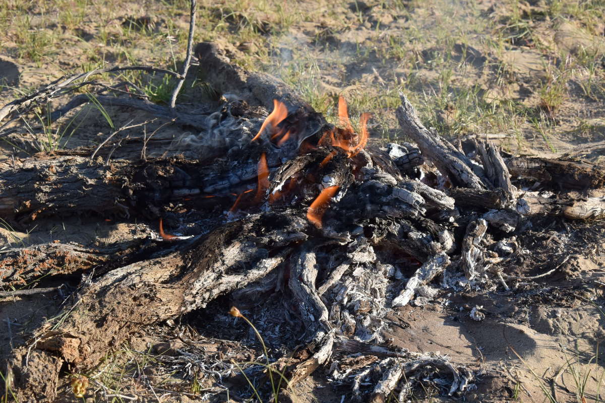 ... ����� �����������  �� PhotoGeek.ru #��������