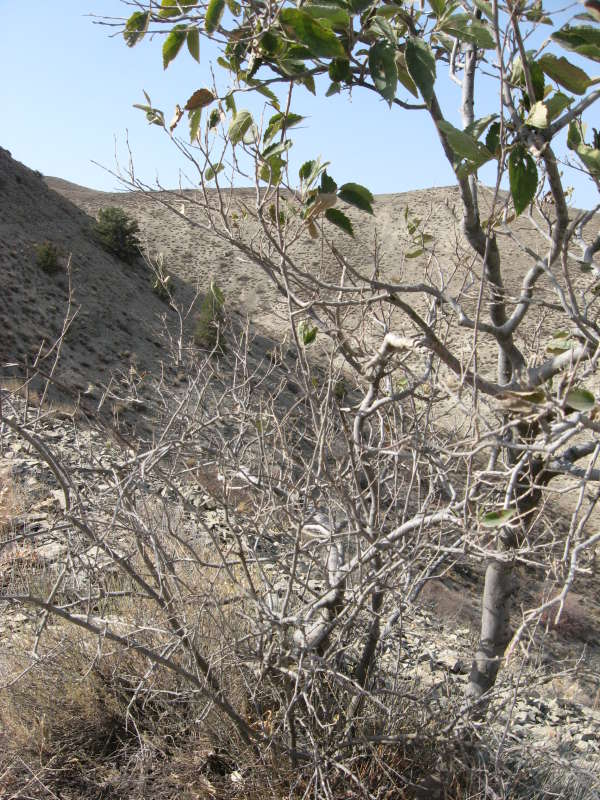 ������ ������� (������ ����������) ����� �����������  �� PhotoGeek.ru #��������