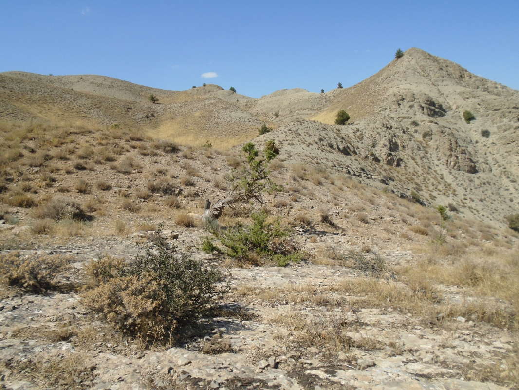 ... ����� �����������  �� PhotoGeek.ru #��������