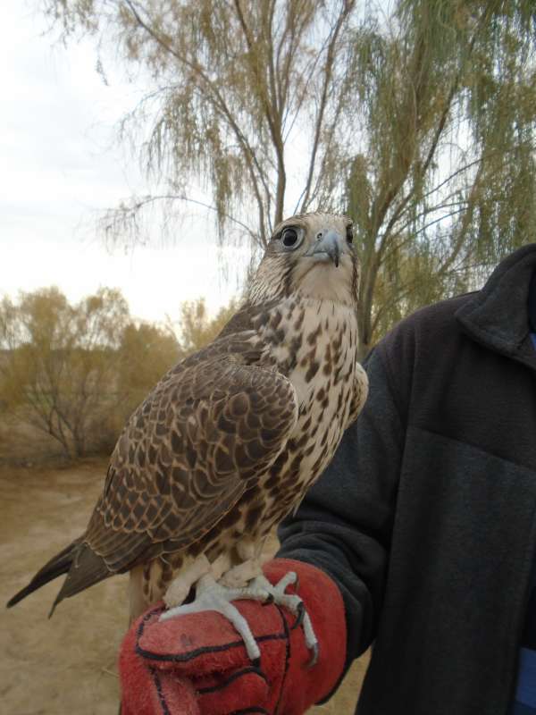 ... ����� �����������  �� PhotoGeek.ru #��������