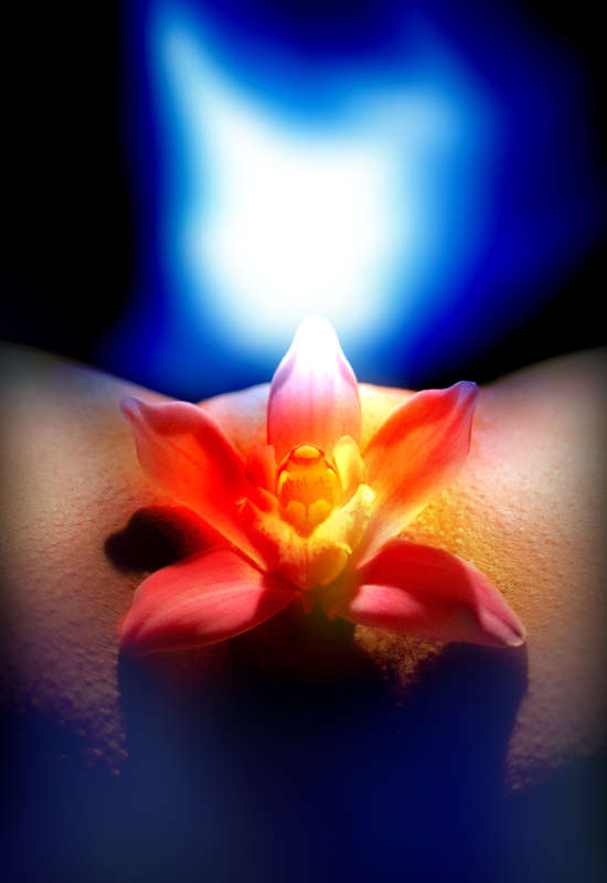 ... ����� Vladimir Volf Kirilin �� PhotoGeek.ru