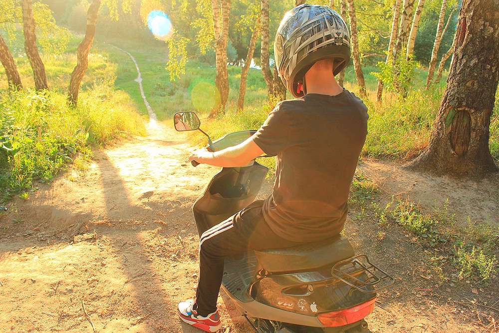 Freund Max ����� Jack Hill �� PhotoGeek.ru #�������� ����������