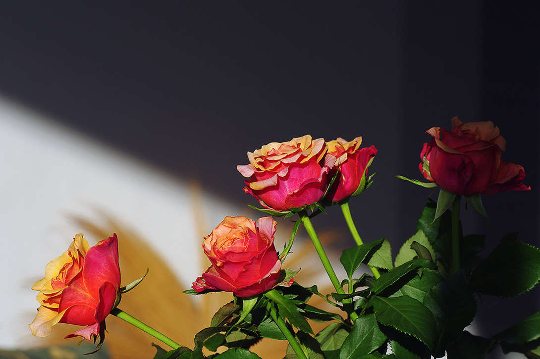 ... ����� ��������� ������� �� PhotoGeek.ru #���������