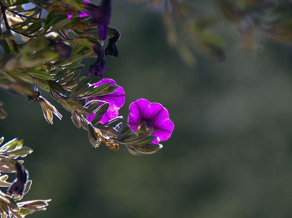 ... ����� ��������� ������� �� PhotoGeek.ru #������ ��� �������