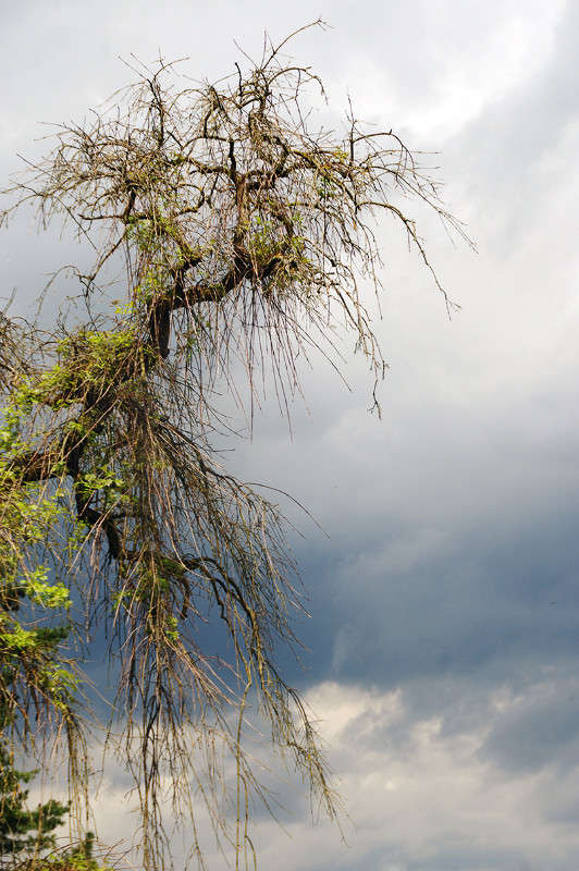 ... ����� ��������� ������� �� PhotoGeek.ru #������ ��� ������� #����� �������������� #���������