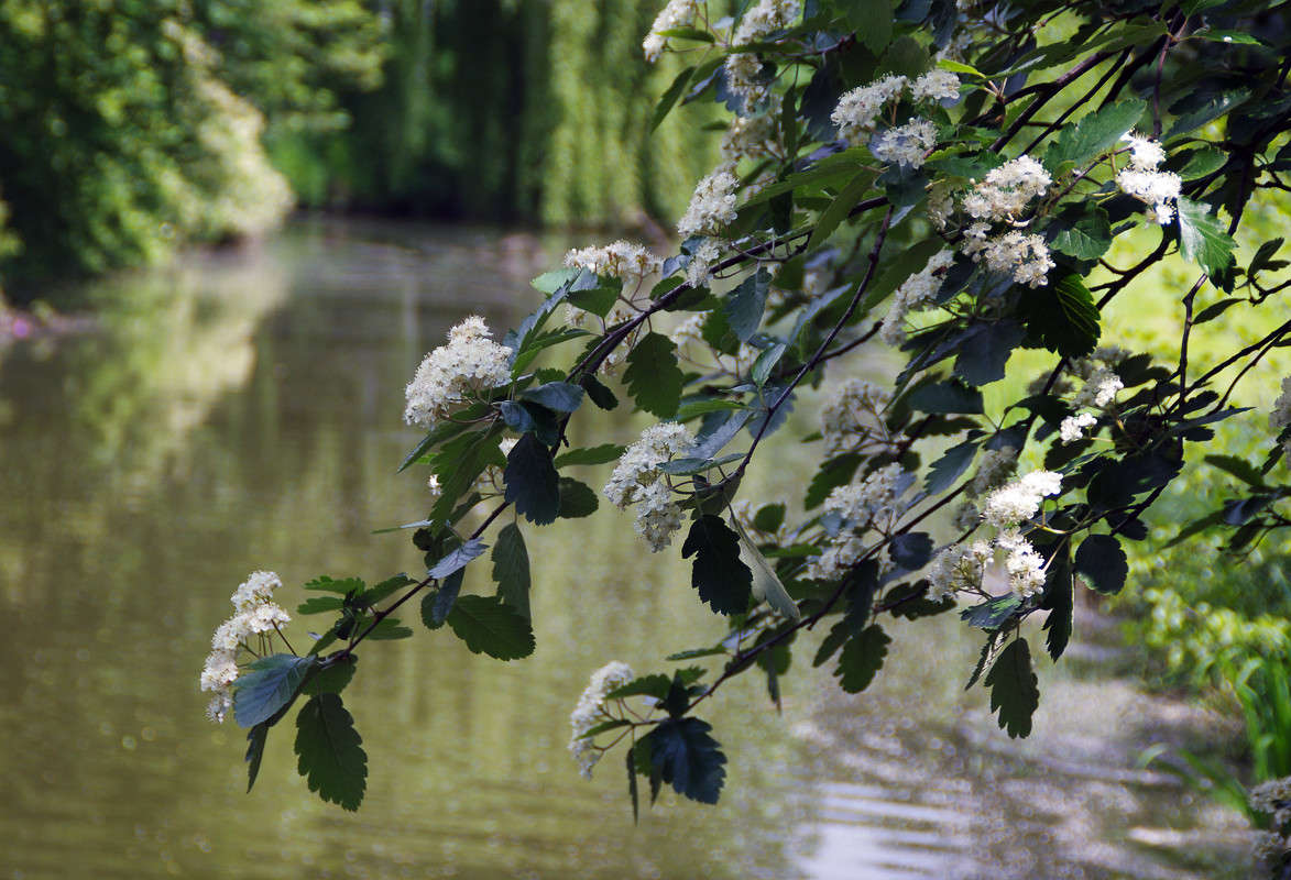 ... ����� ��������� ������� �� PhotoGeek.ru #������ ��� ������� #����� �������������� #���������