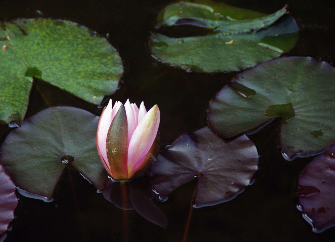 ... ����� ��������� ������� �� PhotoGeek.ru #������ ��� ������� #����� �������������� #���������