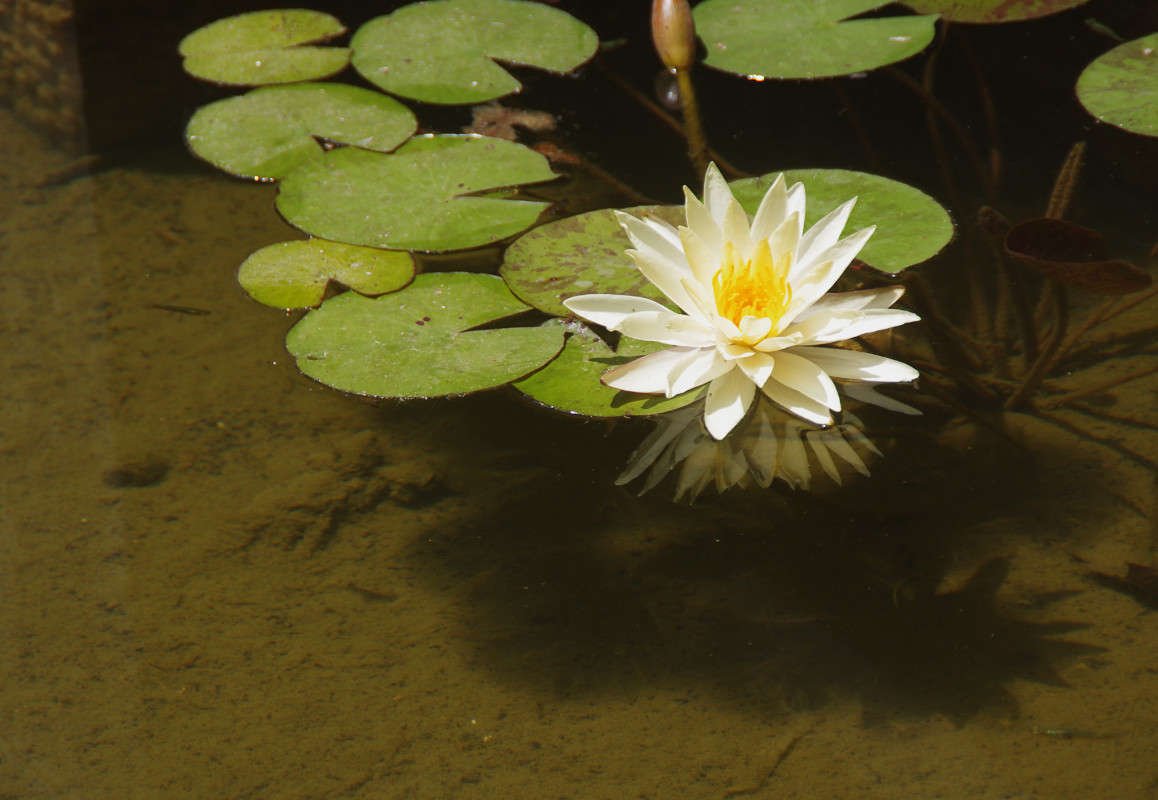 ... ����� ��������� ������� �� PhotoGeek.ru #������ ��� ������� #����� �������������� #���������