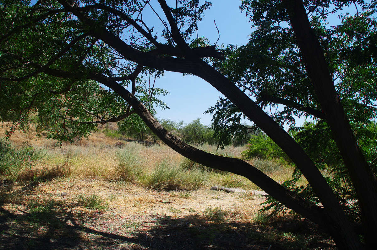 ... ����� ��������� ������� �� PhotoGeek.ru #������ ��� ������� #����� �������������� #���������