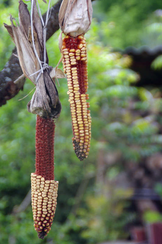 ... ����� ��������� ������� �� PhotoGeek.ru #������ ��� ������� #���������