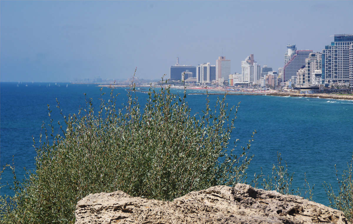 ... ����� ��������� ������� �� PhotoGeek.ru #����� #������ ���� #��������� ������