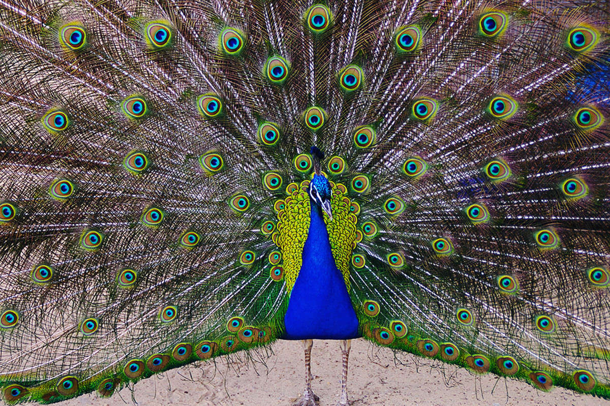 �������... ����� ��������� ������� �� PhotoGeek.ru #�������� ���