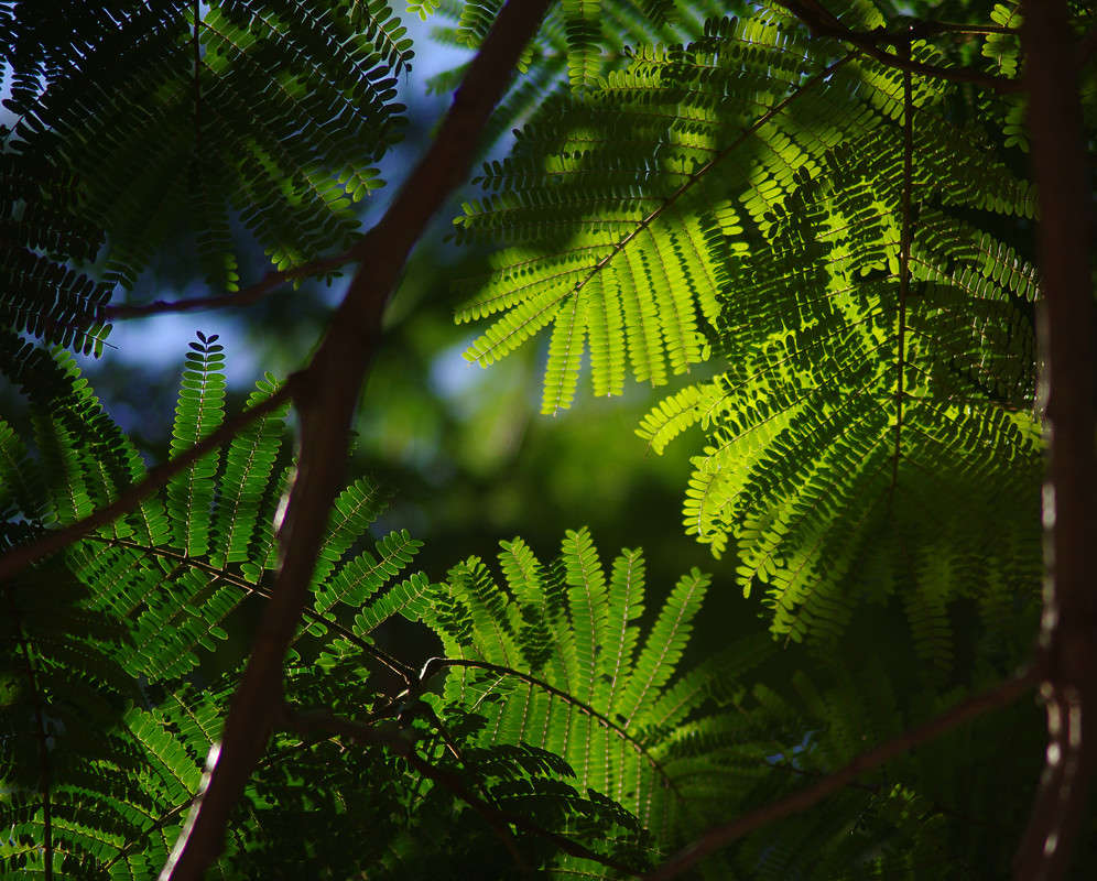 ... ����� ��������� ������� �� PhotoGeek.ru #������ ��� ������� #����� ��������������