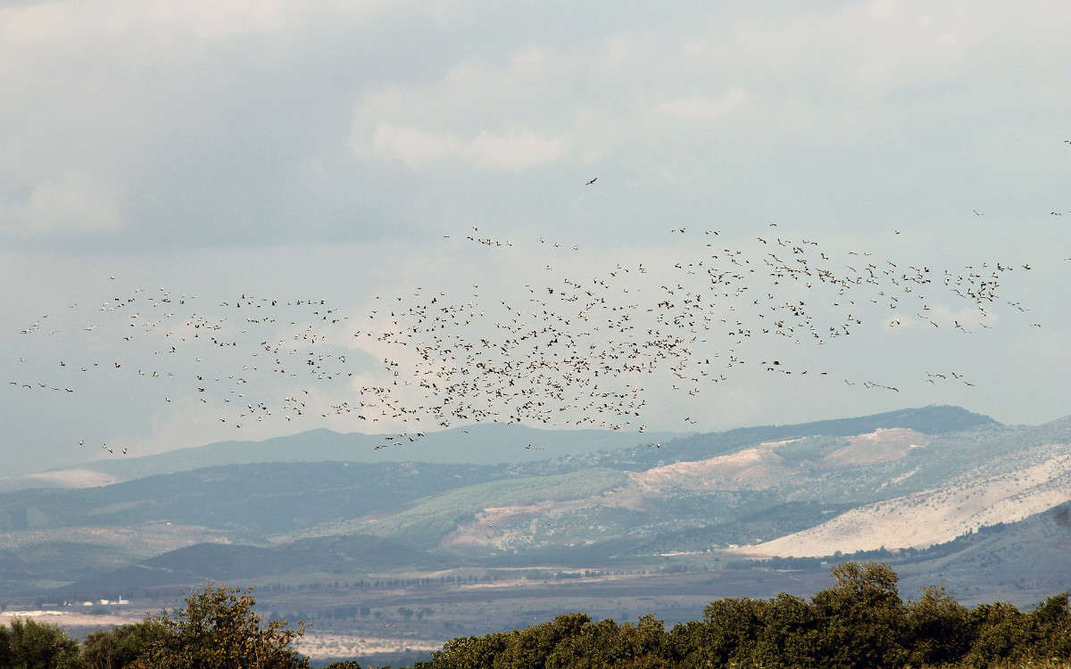 ����� ��������� �����... ����� ��������� ������� �� PhotoGeek.ru #������ ��� ������� #���������