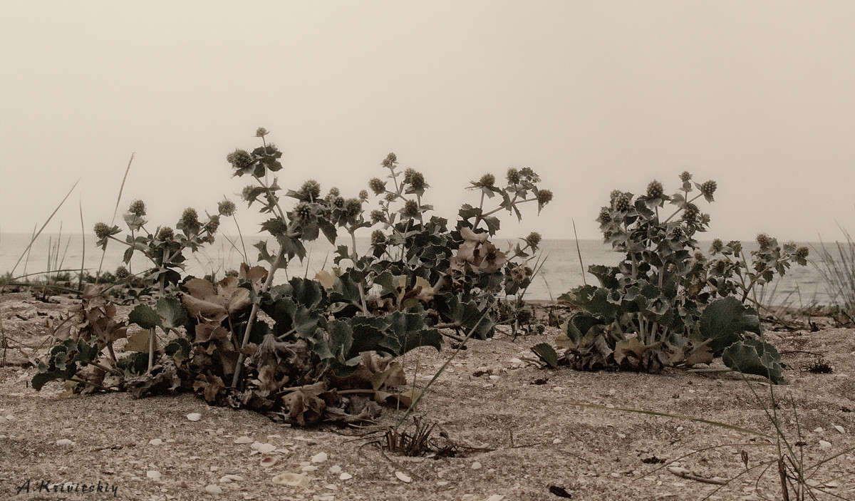 ....... ����� ��������� ��������� �� PhotoGeek.ru #������ ��� ������� #����� ��������������