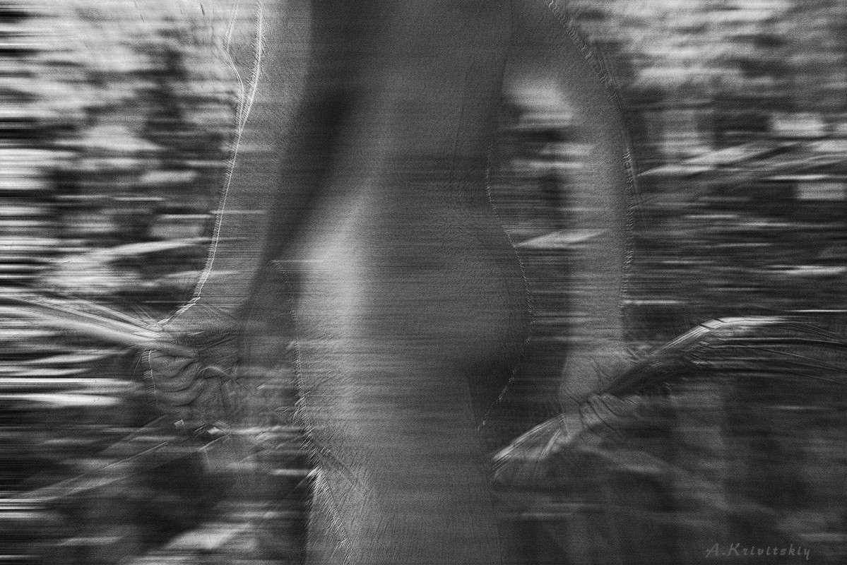 The parallel movement in the visual arts. ������������ �������� � ��������������� ���������. ����� ��������� ��������� �� PhotoGeek.ru #�� #������ #������ ����� ���� #�����-�����