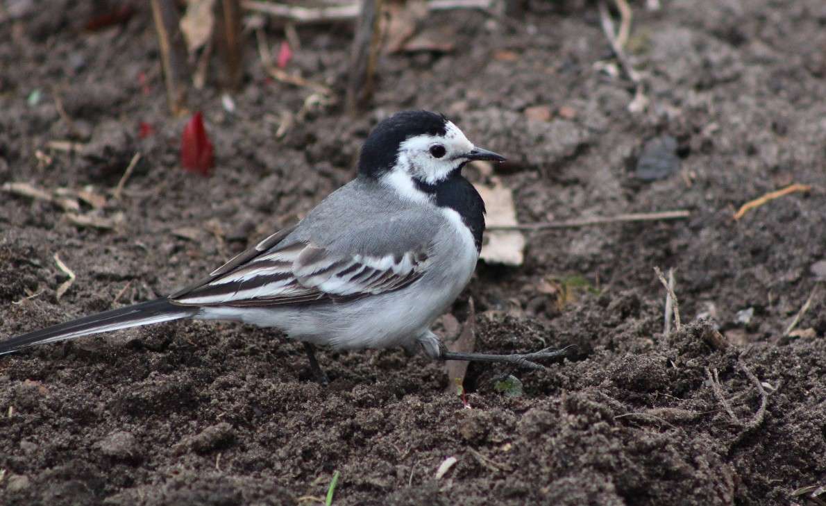 � ��� ����� ���... ����� ���� ������� �� PhotoGeek.ru #�������� ��� #����� ��� ��� ���������