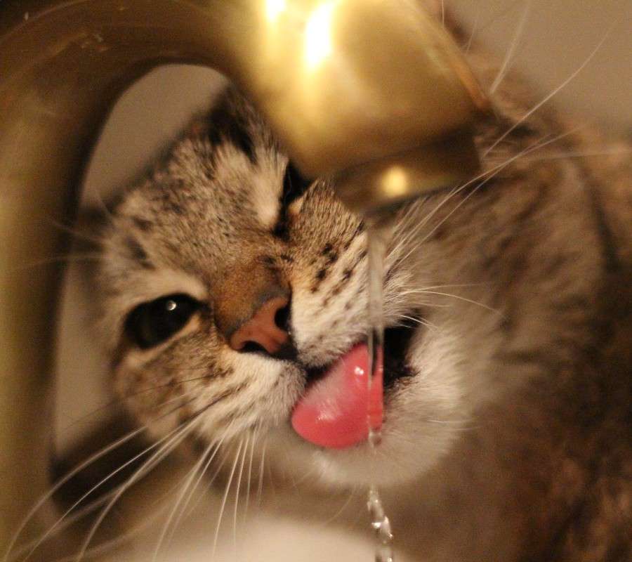 �������� ������� ����� ���� ������� �� PhotoGeek.ru #�������� ��� #�������� ���