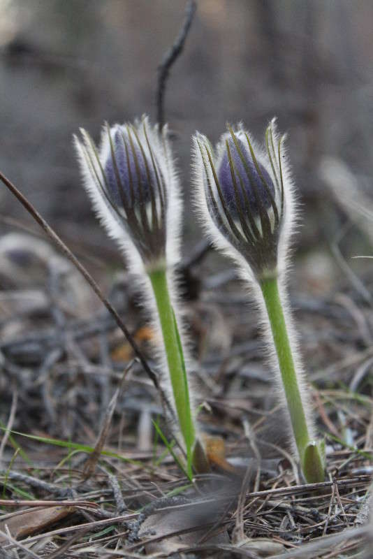 ����... ��� ������ - �����... ����� ���� ������� �� PhotoGeek.ru #������ ��� ������� #����� �������������� #����� ��������