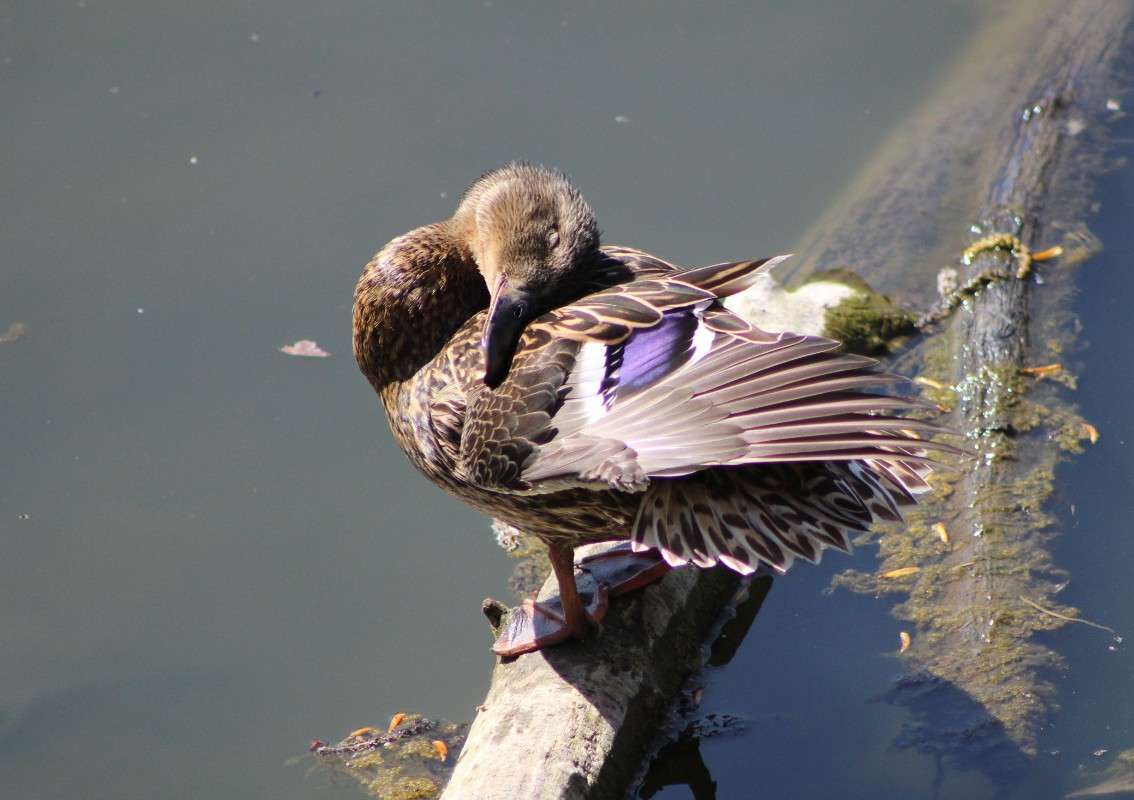 ����� � ���� ����� ���� ������� �� PhotoGeek.ru #�������� ��� #����� ��� ��� ���������