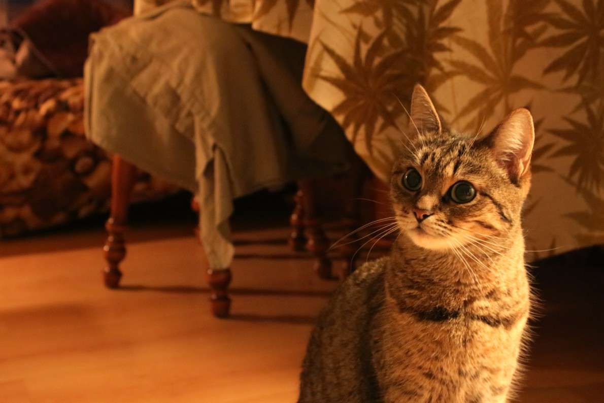 ���, ����� �����? ����� ���� ������� �� PhotoGeek.ru #�������� ��� #�������� ���