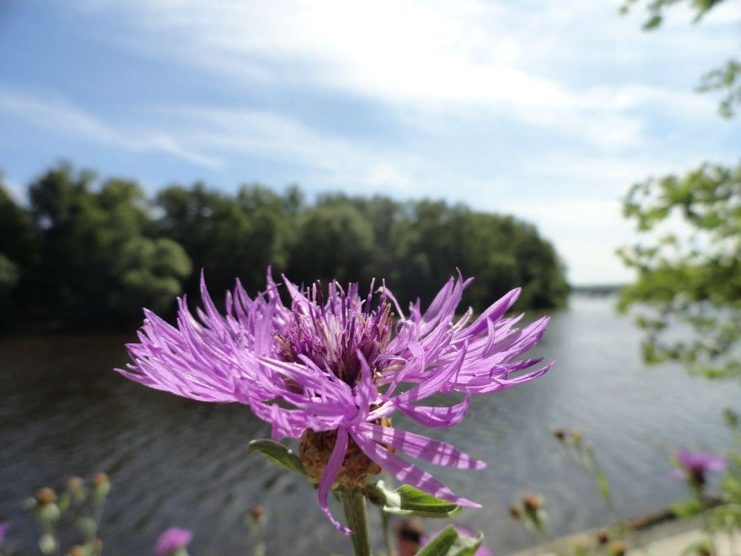 ��� ���� �������� �� �������� ������ ����� ���� ������� �� PhotoGeek.ru #����� #������ ��� ������� #����� ��������������