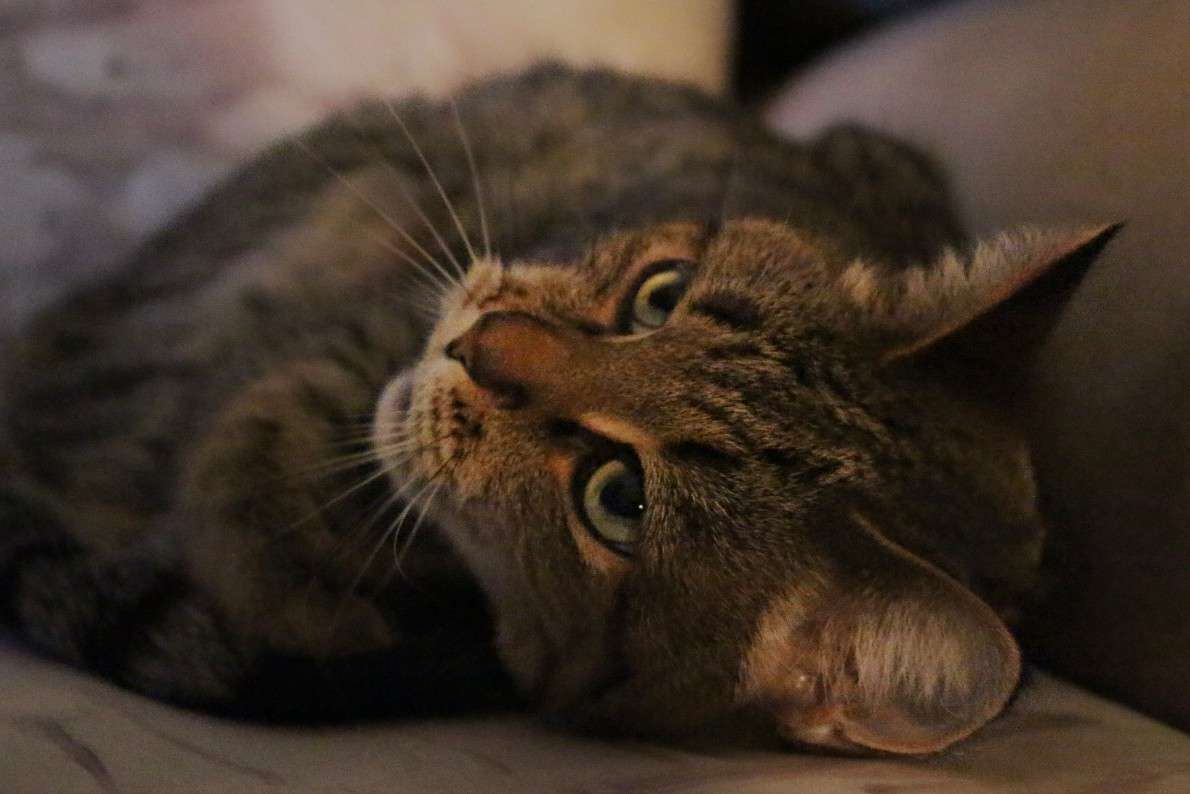 ��, ��, ��� �� �����.... ����� ���� ������� �� PhotoGeek.ru #�������� ��� #�������� ���