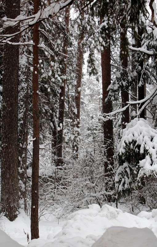 ������ ����� ���� ������� �� PhotoGeek.ru #������ ��� ������� #����� ��������������