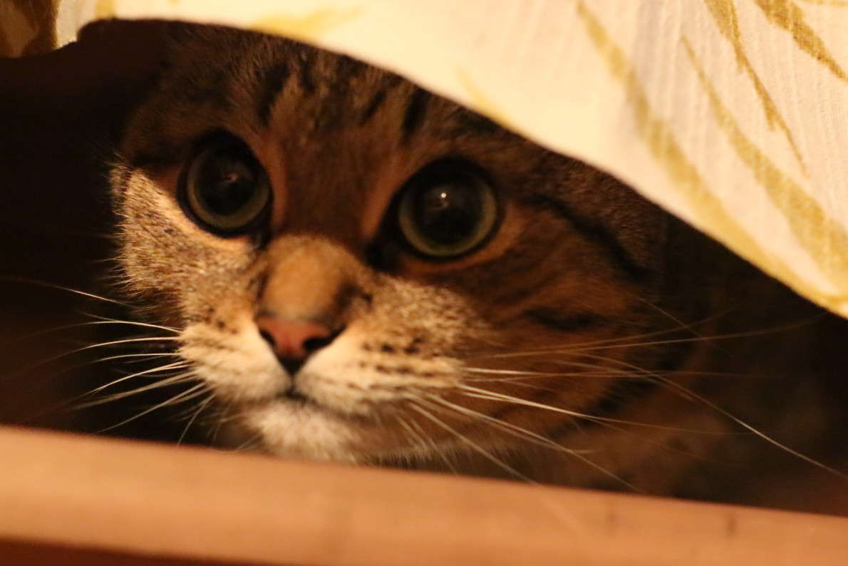 ��� ������ ����� ���� ������� �� PhotoGeek.ru #�������� ��� #�������� ���