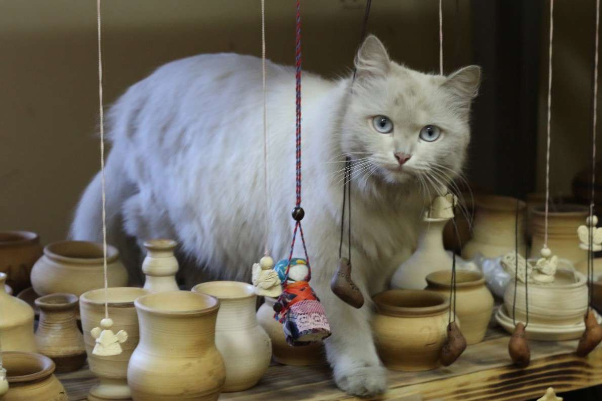 �������� ������ �������� ����� ����� ���� ������� �� PhotoGeek.ru #�������� ��� #�������