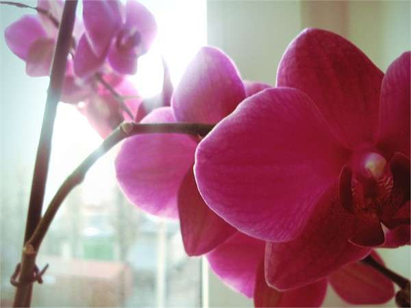 ... ����� ������  �� PhotoGeek.ru #�����