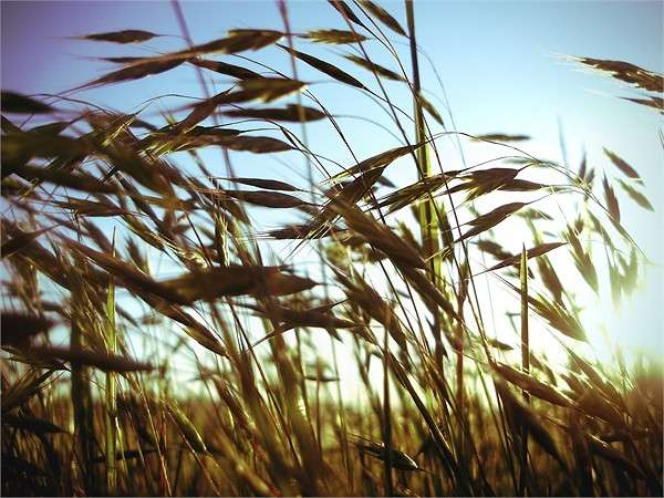 ... ����� ������  �� PhotoGeek.ru #�����