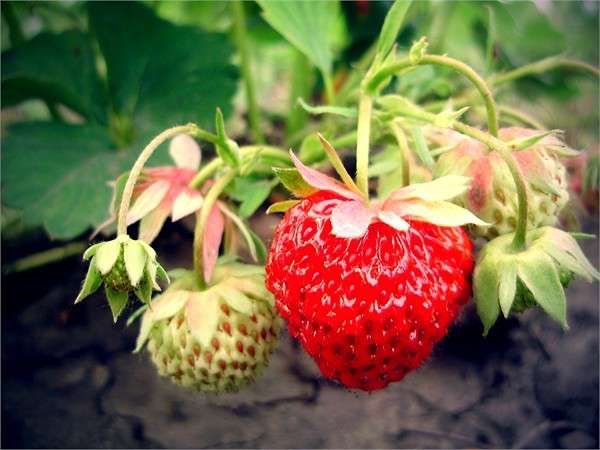 ... ����� ������  �� PhotoGeek.ru #����� #������ ��� �������