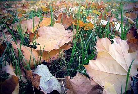 ... ����� ������  �� PhotoGeek.ru #����� #������ ��� �������