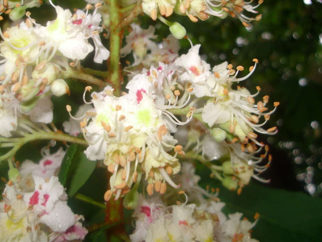 ... ����� ������  �� PhotoGeek.ru #����� #������ ��� �������